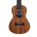 Firefeel S120-21 Ukulele Mahagony
